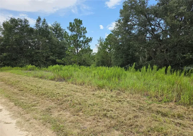 Land for sale at 0 Southwest 144th Ct, OCALA, FL 34481 | MLS# FC321848