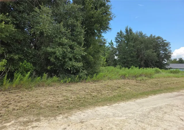 Photo 2 of Land for sale at 0 Southwest 144th Ct, Ocala, FL 34481 | MLS# FC321848 | Listing updated on 2026-10-02