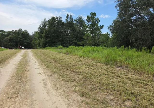 Photo 4 of Land for sale at 0 Southwest 144th Ct, Ocala, FL 34481 | MLS# FC321848 | Listing updated on 2026-10-02
