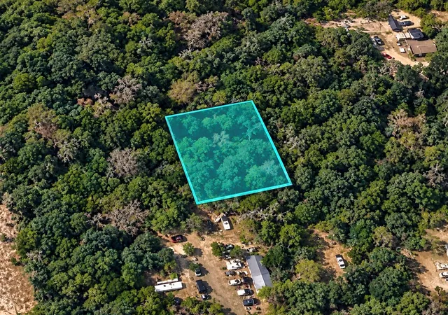 Land for sale at Wadsworth Rd, MOUNT DORA, FL 32757 | MLS# TB8554086