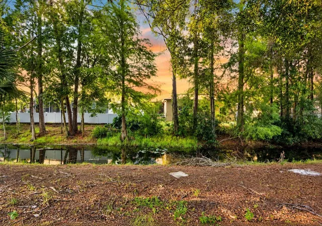 Photo 3 of Single family home for sale at 7207 Otter Crk Dr, New Port Richey, FL 34655 | MLS# W7890005 | Listing updated on 2026-10-02