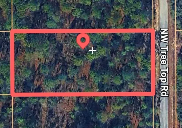Photo 3 of Land for sale at Tree Top Rd, Dunnellon, FL 34431 | MLS# OM733290 | Listing updated on 2026-10-02