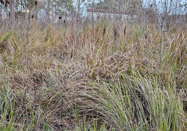Photo 1 of Land for sale at 0 Se 104th Terrace, Belleview, FL 34420 | MLS# OM733292 | Listing updated on 2026-10-07