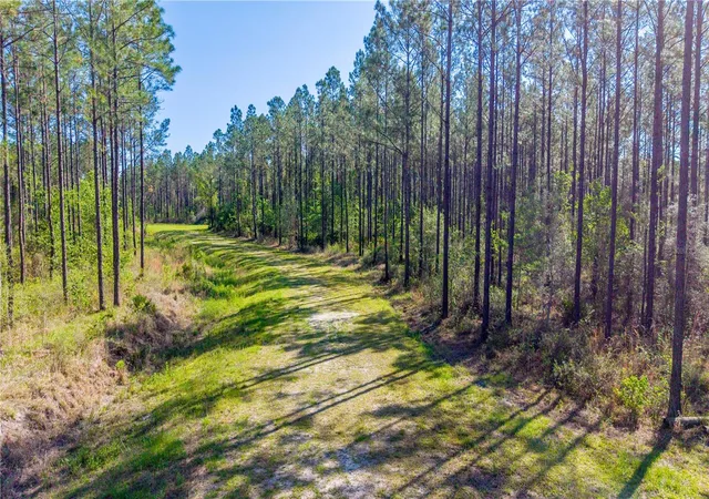 Photo 1 of Land for sale at Northwest 57th Ln, Starke, FL 32091 | MLS# GC543921 | Listing updated on 2026-10-02