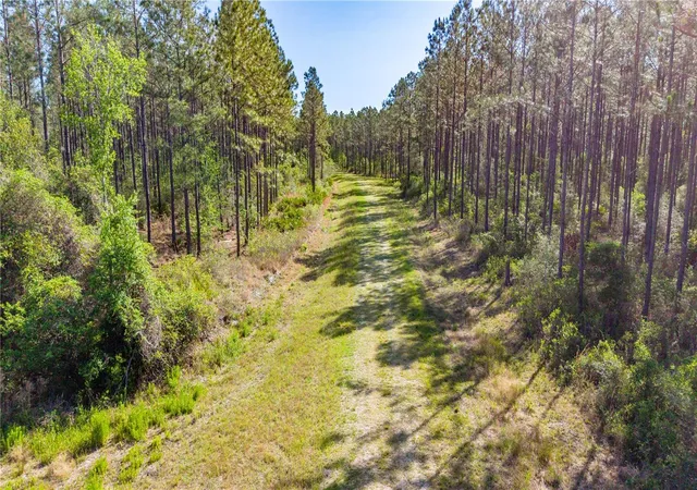 Photo 4 of Land for sale at Northwest 57th Ln, Starke, FL 32091 | MLS# GC543921 | Listing updated on 2026-10-02