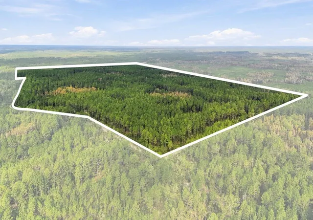 Land for sale at 0 Doc Smith Rd, BRONSON, FL 32621 | MLS# OM733306