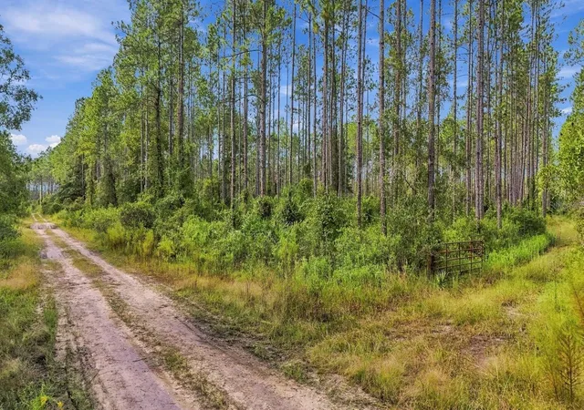 Photo 2 of Land for sale at 0 Doc Smith Rd, Bronson, FL 32621 | MLS# OM733306 | Listing updated on 2026-10-02