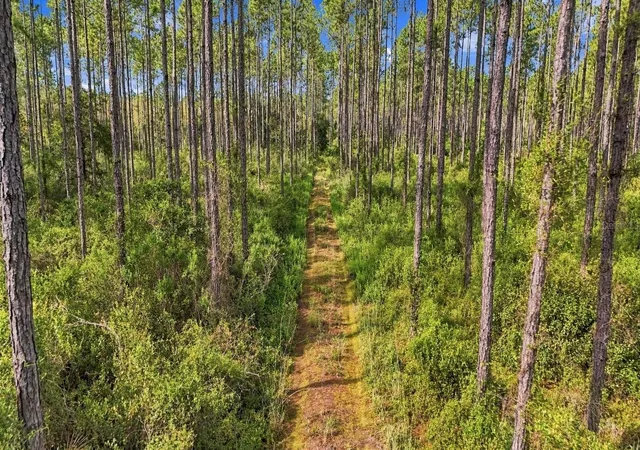 Photo 3 of Land for sale at 0 Doc Smith Rd, Bronson, FL 32621 | MLS# OM733306 | Listing updated on 2026-10-02