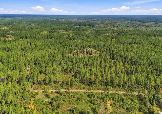 Photo 4 of Land for sale at 0 Doc Smith Rd, Bronson, FL 32621 | MLS# OM733306 | Listing updated on 2026-10-02
