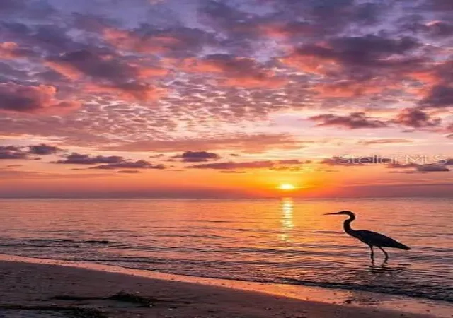 Photo 51 of Condo for sale at 4485 Gulf Of Mexico Dr #402, LONGBOAT KEY, FL 34228 | MLS# N6146025 | Listing updated on 2026-10-13