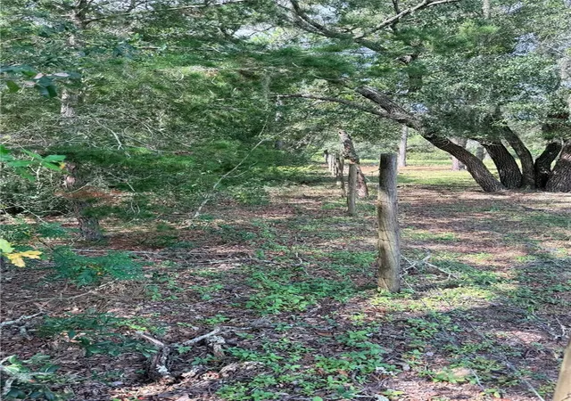 Photo 2 of Land for sale at Bowman Rd, Brooksville, FL 34610 | MLS# TB8554170 | Listing updated on 2026-10-02