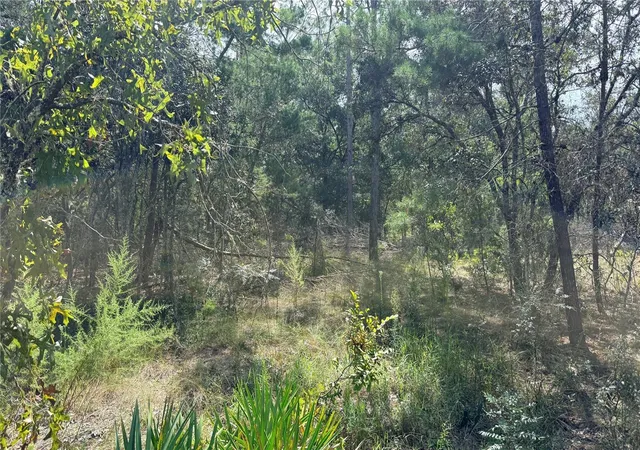 Photo 3 of Land for sale at Bowman Rd, Brooksville, FL 34610 | MLS# TB8554170 | Listing updated on 2026-10-02