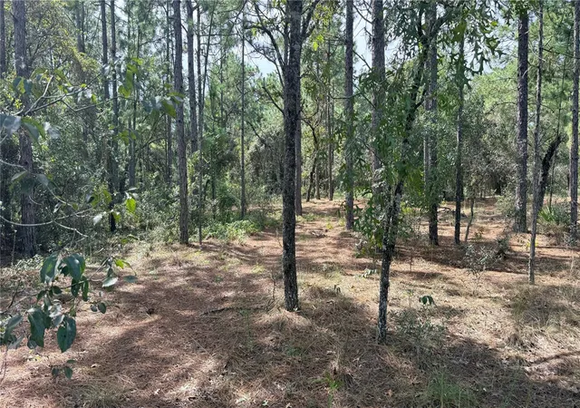 Photo 4 of Land for sale at Bowman Rd, Brooksville, FL 34610 | MLS# TB8554170 | Listing updated on 2026-10-02