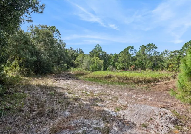 Photo 3 of Land for sale at Bethune St, Leesburg, FL 34788 | MLS# G5118527 | Listing updated on 2026-10-02