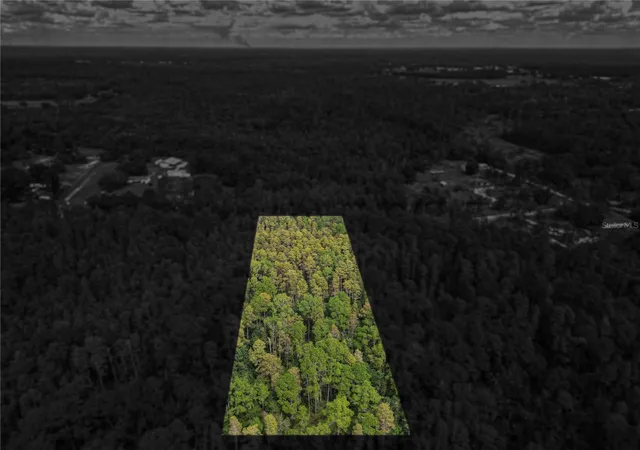 Photo 2 of Land for sale at 0 Poyner Oaks Rd N, Polk City, FL 33868 | MLS# L4965503 | Listing updated on 2026-10-03