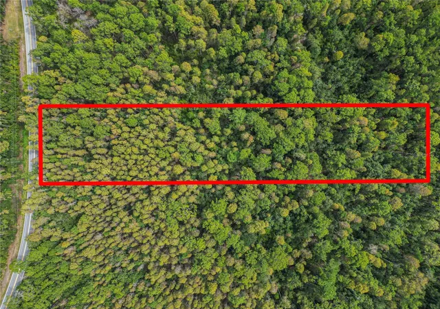 Photo 3 of Land for sale at 0 Poyner Oaks Rd N, Polk City, FL 33868 | MLS# L4965503 | Listing updated on 2026-10-03