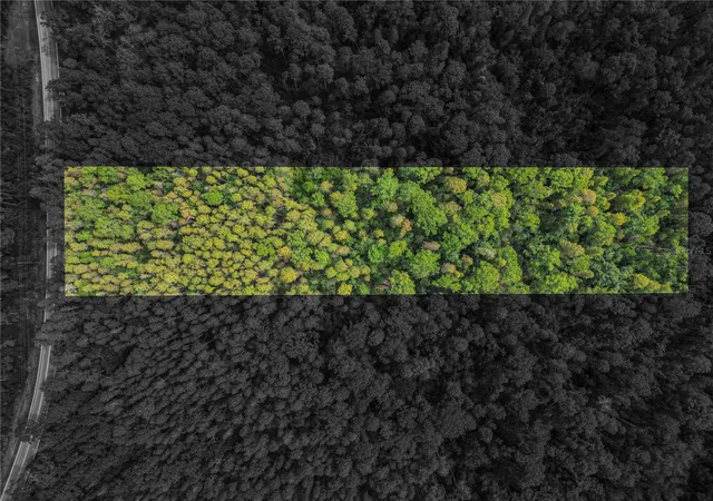 Photo 3 of Land for sale at 0 Poyner Oaks Rd N, Polk City, FL 33868 | MLS# L4965503 | Listing updated on 2026-10-03