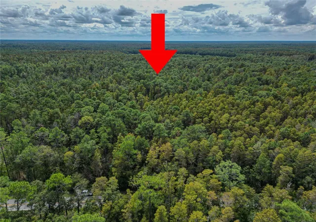 Photo 4 of Land for sale at 0 Poyner Oaks Rd N, Polk City, FL 33868 | MLS# L4965503 | Listing updated on 2026-10-03