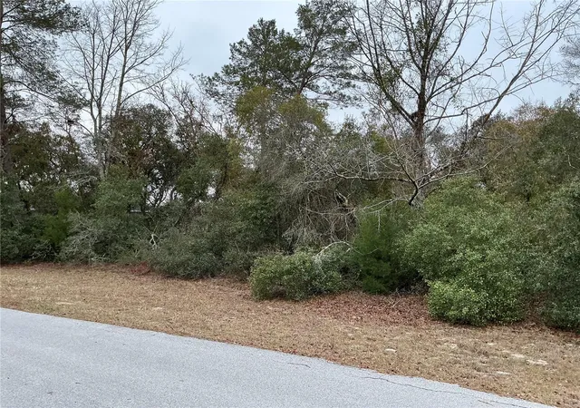Photo 1 of Land for sale at Sw 137th Loop, Ocala, FL 34473 | MLS# OM733317 | Listing updated on 2026-10-16