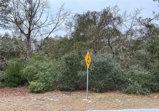 Photo 3 of Land for sale at Sw 137th Loop, Ocala, FL 34473 | MLS# OM733317 | Listing updated on 2026-10-16