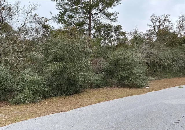 Photo 3 of Land for sale at SW 137th Loop, Ocala, FL 34473 | MLS# OM733317 | Listing updated on 2026-10-16