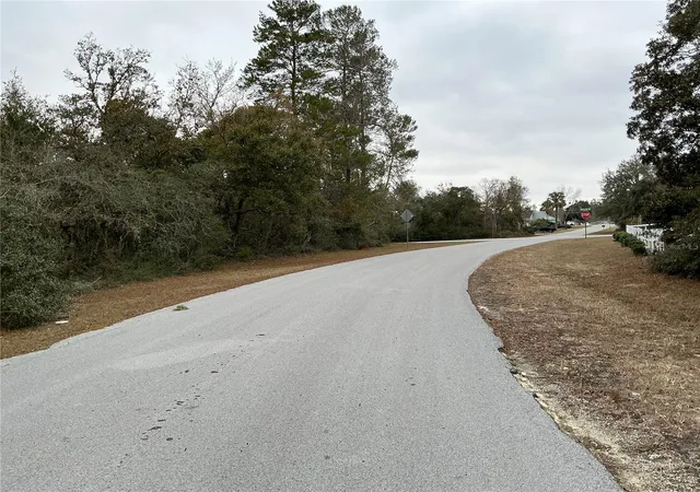 Photo 4 of Land for sale at SW 137th Loop, Ocala, FL 34473 | MLS# OM733317 | Listing updated on 2026-10-16