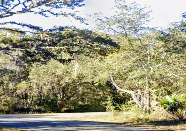 Photo 3 of Land for sale at Lot 15 Fisher Ln Way, Ocklawaha, FL 32179 | MLS# TB8554219 | Listing updated on 2026-10-09