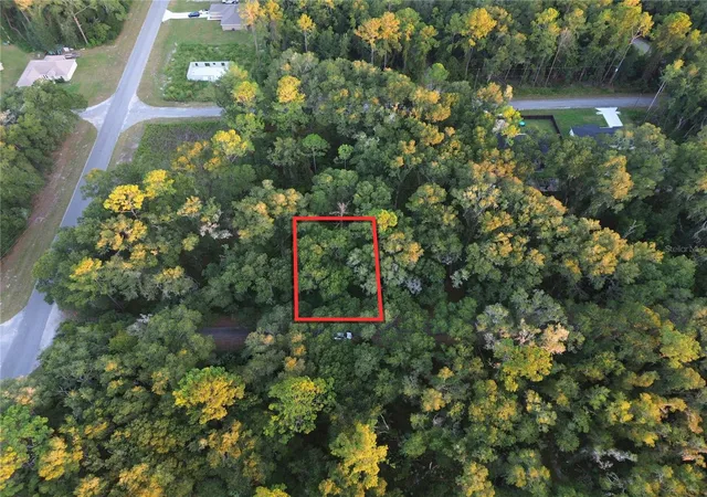 Land for sale at Tbd Sequoia Loop Trak, OCKLAWAHA, FL 32179 | MLS# OM733333