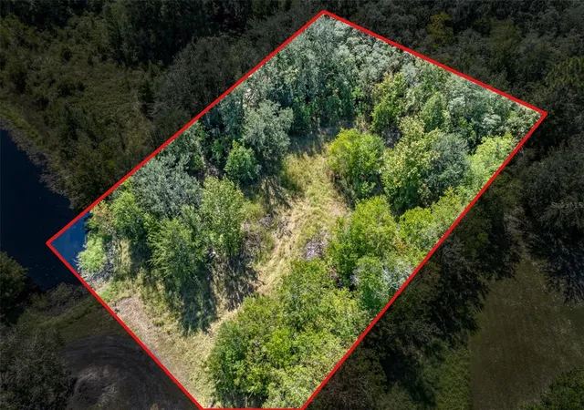 Photo 2 of Land for sale at 5031 S Louise Point, Homosassa, FL 34446 | MLS# TB8554278 | Listing updated on 2026-10-02