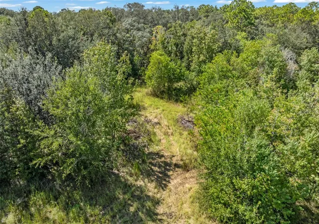 Photo 3 of Land for sale at 5031 S Louise Point, Homosassa, FL 34446 | MLS# TB8554278 | Listing updated on 2026-10-02
