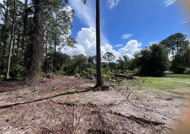 Photo 1 of Land for sale at 334 Redwood Blvd, Georgetown, FL 32139 | MLS# V4951631 | Listing updated on 2026-10-10