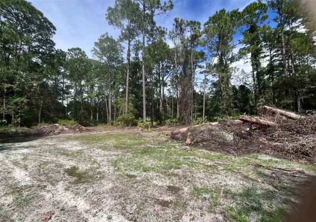 Photo 3 of Land for sale at 334 Redwood Blvd, Georgetown, FL 32139 | MLS# V4951631 | Listing updated on 2026-10-10