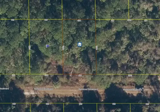 Photo 4 of Land for sale at 334 Redwood Blvd, Georgetown, FL 32139 | MLS# V4951631 | Listing updated on 2026-10-10