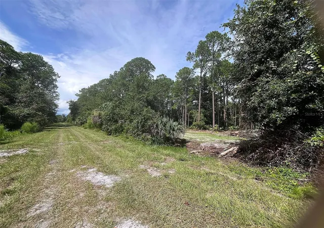 Photo 2 of Land for sale at 334 Redwood Blvd, Georgetown, FL 32139 | MLS# V4951631 | Listing updated on 2026-10-10