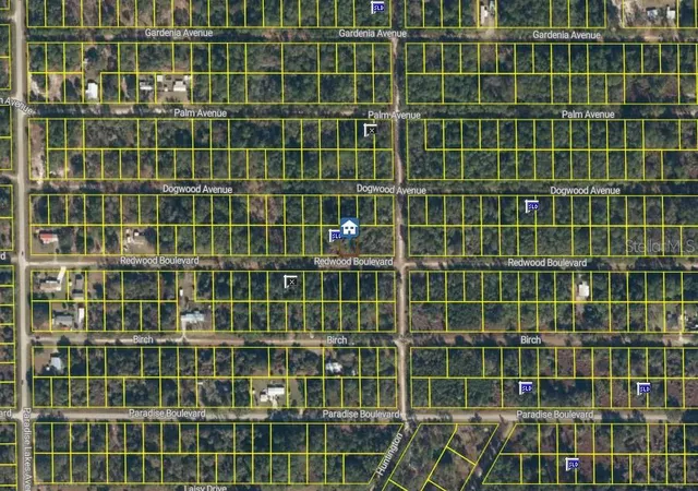 Photo 3 of Land for sale at 334 Redwood Blvd, Georgetown, FL 32139 | MLS# V4951631 | Listing updated on 2026-10-10
