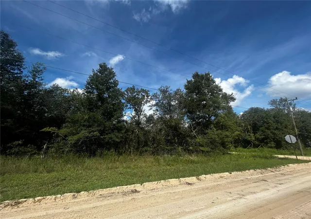 Land for sale at 00 Northeast 115th Ave, WILLISTON, FL 32696 | MLS# GC543930