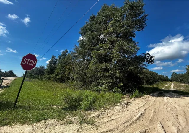 Photo 1 of Land for sale at 00 Northeast 115th Ave, Williston, FL 32696 | MLS# GC543930 | Listing updated on 2026-10-03