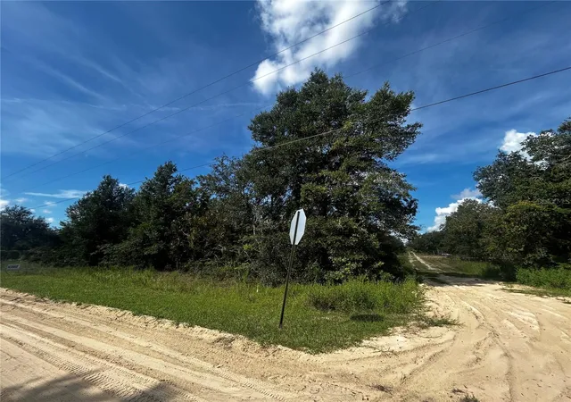 Photo 2 of Land for sale at 00 Northeast 115th Ave, Williston, FL 32696 | MLS# GC543930 | Listing updated on 2026-10-03