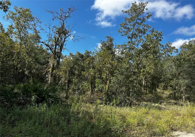 Photo 3 of Land for sale at 00 Northeast 115th Ave, Williston, FL 32696 | MLS# GC543930 | Listing updated on 2026-10-03