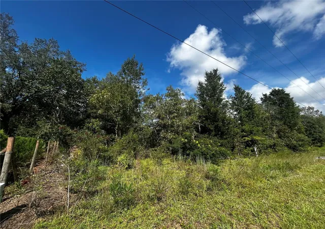 Photo 4 of Land for sale at 00 Northeast 115th Ave, Williston, FL 32696 | MLS# GC543930 | Listing updated on 2026-10-03