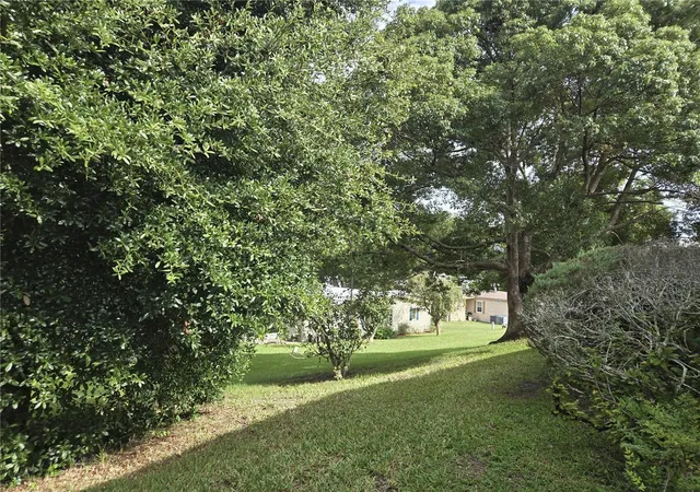 Photo 3 of Manufactured home for sale at 3419 Buttonbush Dr #1816, Zellwood, FL 32798 | MLS# O6446809 | Listing updated on 2026-10-06
