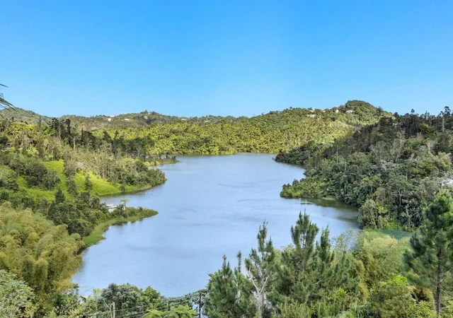 Photo 2 of Land for sale at Carretera 742 Kilometro 2 Sector Las Villas Barrio Carite, Guayama, PR 00785 | MLS# PR9124667 | Listing updated on 2026-10-29