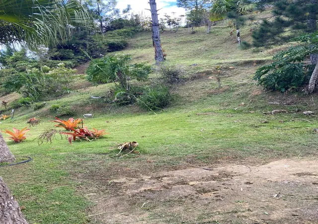 Photo 3 of Land for sale at Carretera 742 Kilometro 2 Sector Las Villas Barrio Carite, Guayama, PR 00785 | MLS# PR9124667 | Listing updated on 2026-10-29