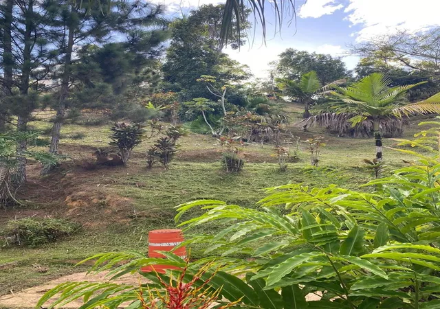 Photo 4 of Land for sale at Carretera 742 Kilometro 2 Sector Las Villas Barrio Carite, Guayama, PR 00785 | MLS# PR9124667 | Listing updated on 2026-10-29