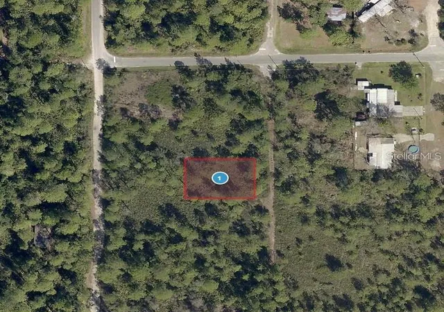 Photo 1 of Land for sale at Virginia St, Paisley, FL 32767 | MLS# O6446812 | Listing updated on 2026-10-08