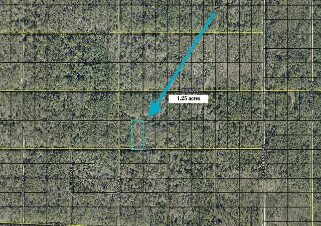 Photo 2 of Land for sale at James, Hastings, FL 32145 | MLS# K4903832 | Listing updated on 2026-10-03