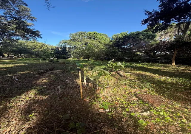 Photo 1 of Land for sale at Orange Ave, Sanford, FL 32773 | MLS# V4951639 | Listing updated on 2026-10-08
