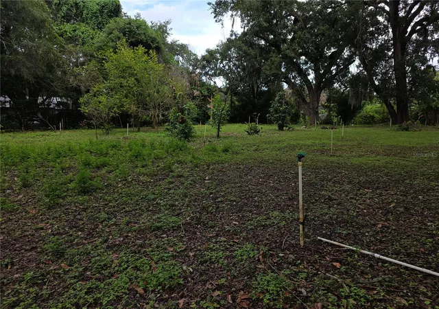 Photo 4 of Land for sale at Orange Ave, Sanford, FL 32773 | MLS# V4951639 | Listing updated on 2026-10-08