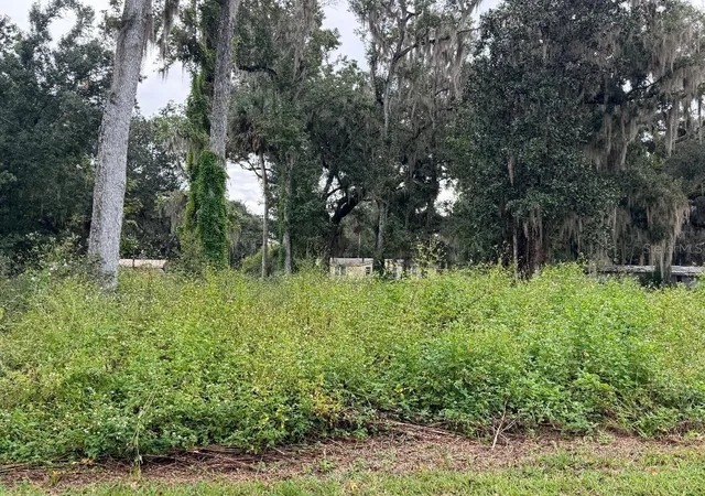 Photo 2 of Land for sale at County Rd 426e, Lake Panasoffkee, FL 33538 | MLS# G5118572 | Listing updated on 2026-10-03
