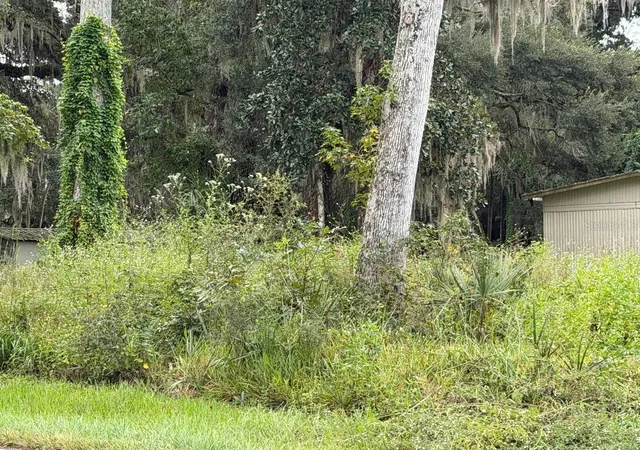 Photo 3 of Land for sale at County Rd 426e, Lake Panasoffkee, FL 33538 | MLS# G5118572 | Listing updated on 2026-10-03